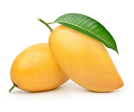 Totapuri Mango Concentrate